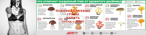 спиды Аркадак