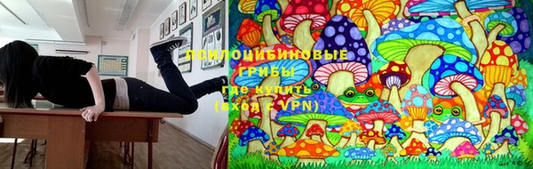 спиды Аркадак