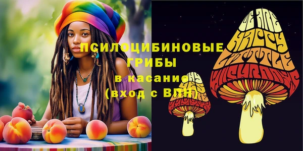 спиды Аркадак