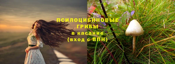 a pvp Армянск