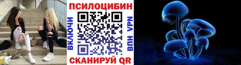 Галлюциногенные грибы GOLDEN TEACHER  купить закладку  mega ссылка  Сегежа 